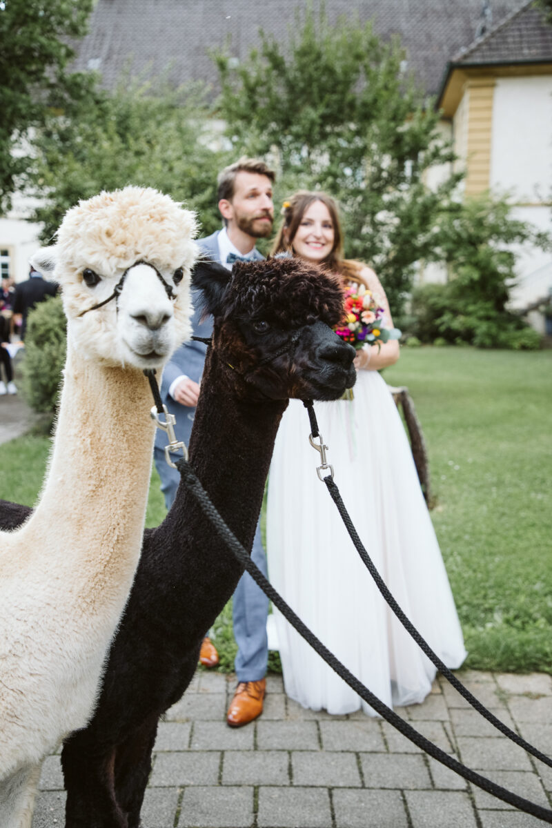 Wedding Couple Shooting