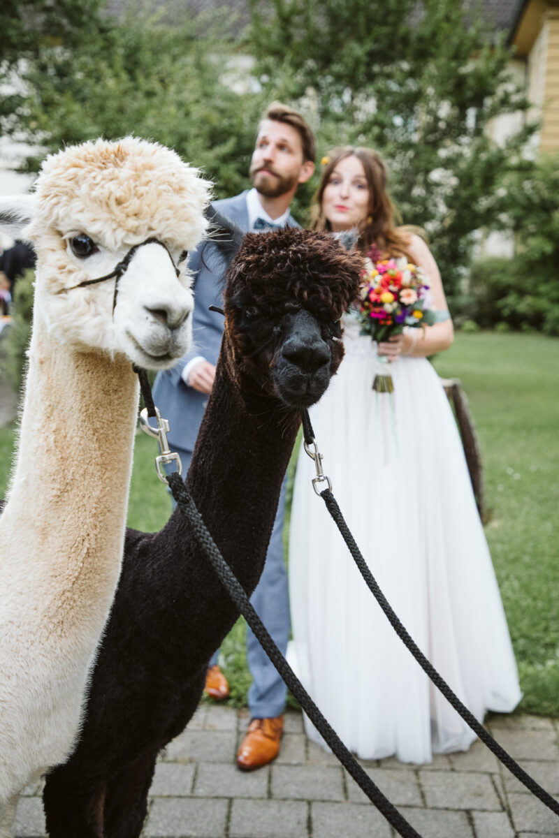 Wedding Couple Shooting