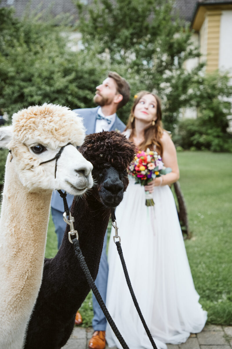 Wedding Couple Shooting
