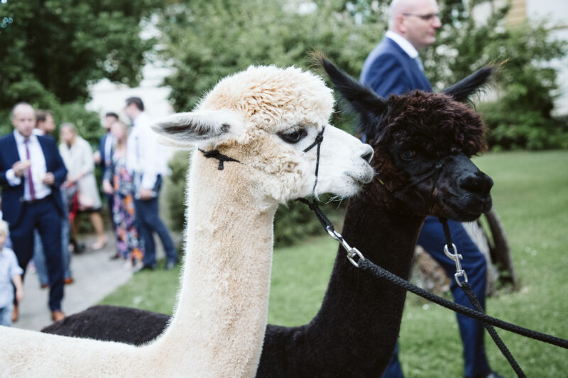 Wedding Couple Shooting