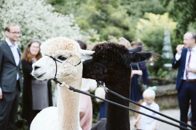 Wedding Couple Shooting