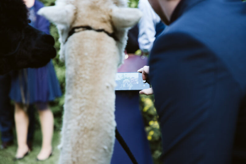 Wedding Couple Shooting