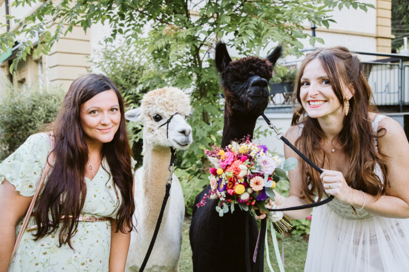 Wedding Couple Shooting