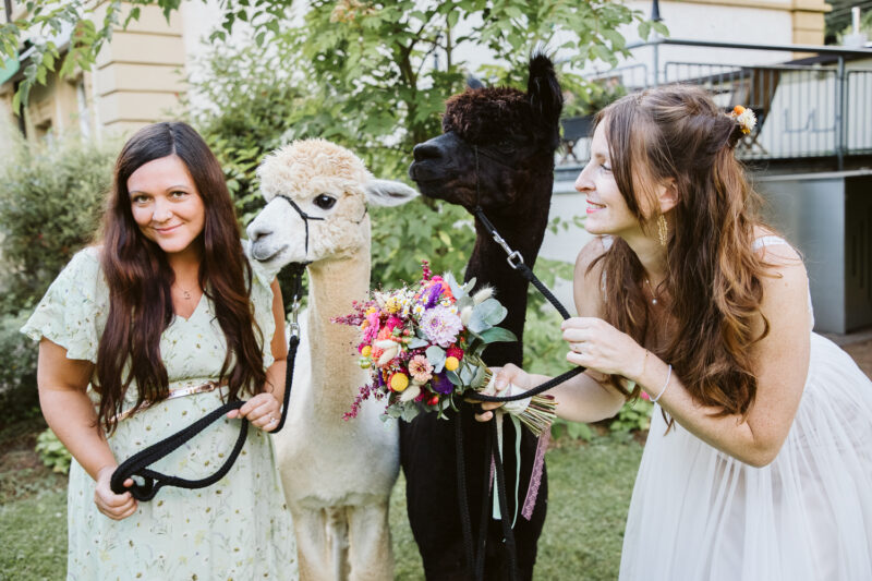 Wedding Couple Shooting