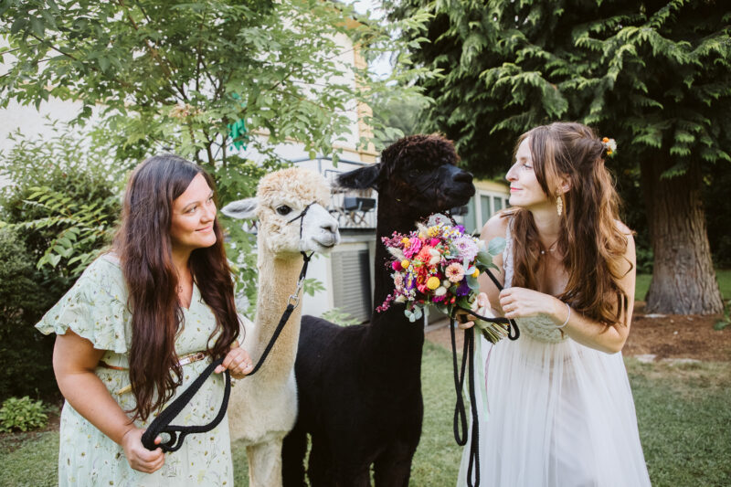 Wedding Couple Shooting