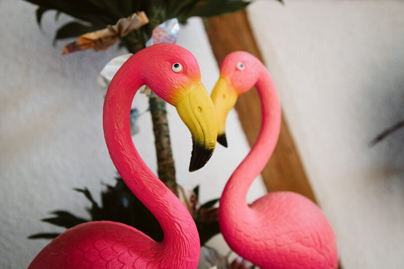 Wedding Couple Shooting